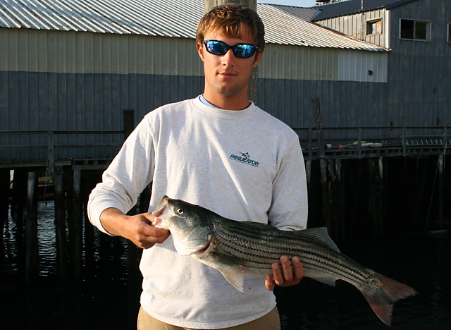 1st Striped Bass 2007